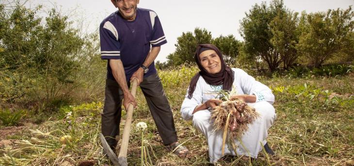 Programme Agriculture - Agrisud , Ourzazate (2)