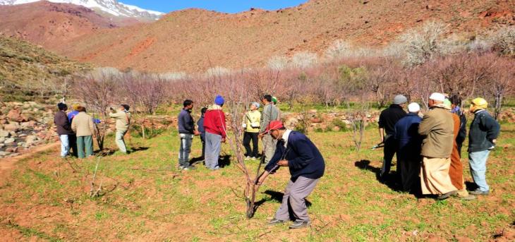 Agriculture - Ouarzazate-Agrisud